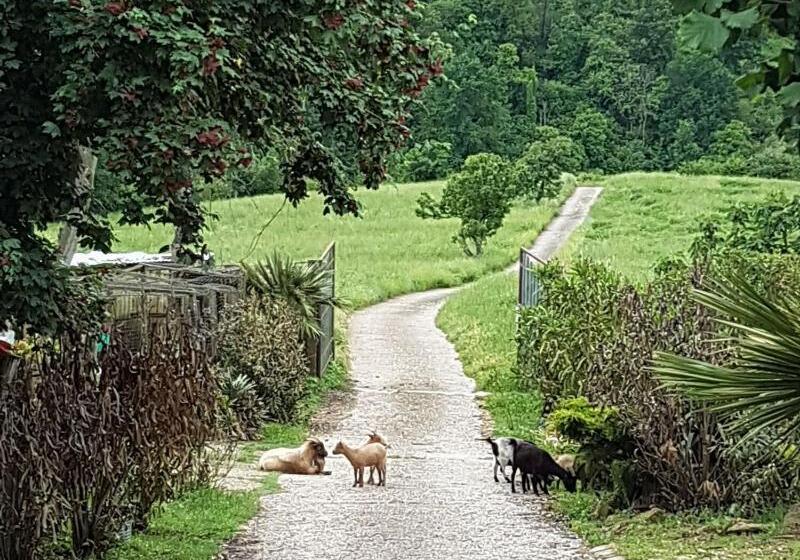 ホテル Agriturismo Cisogna