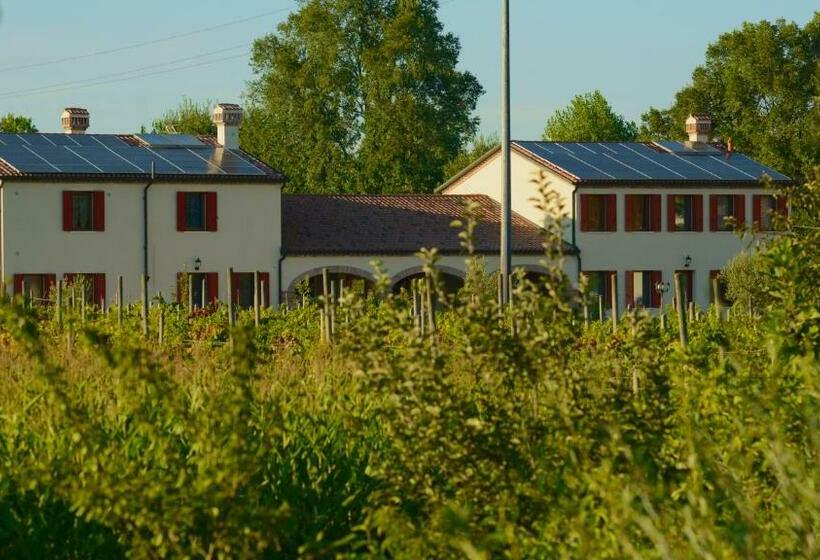 בית מלון כפרי Agriturismo Dartora