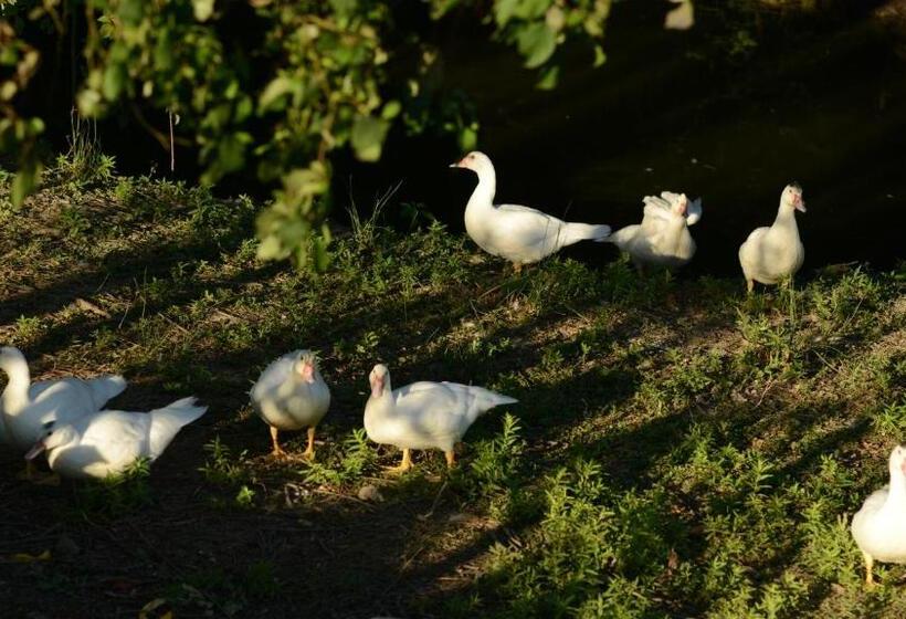 فندق Agriturismo Dartora