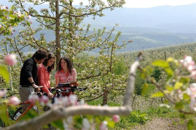 فندق Agriturismo La Canonica