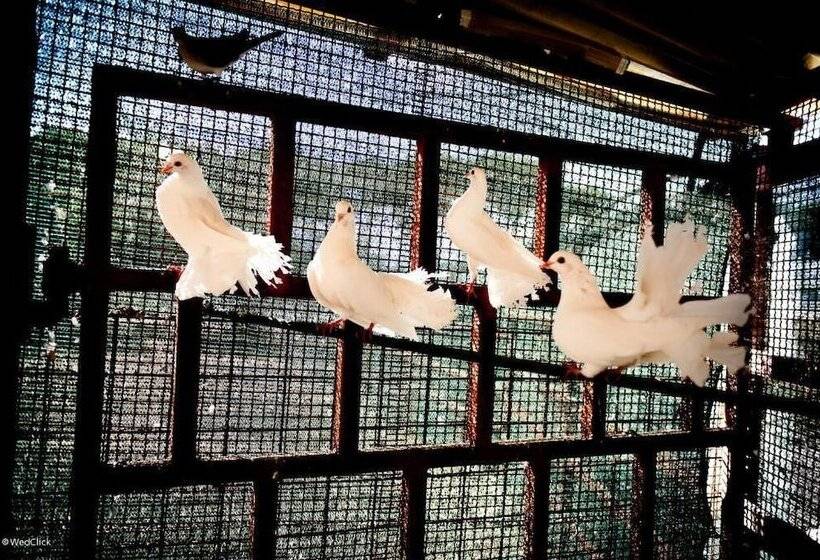 בית מלון כפרי Agriturismo La Meridiana