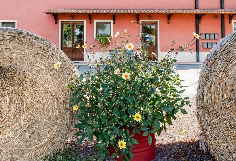 בית מלון כפרי Agriturismo La Meridiana