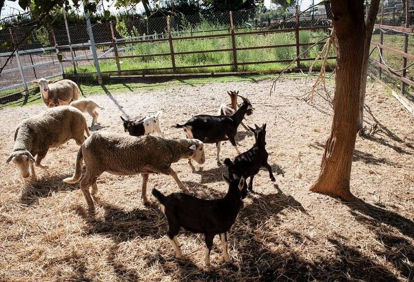 בית מלון כפרי Agriturismo La Meridiana