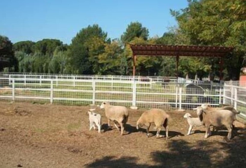 בית מלון כפרי Agriturismo La Meridiana