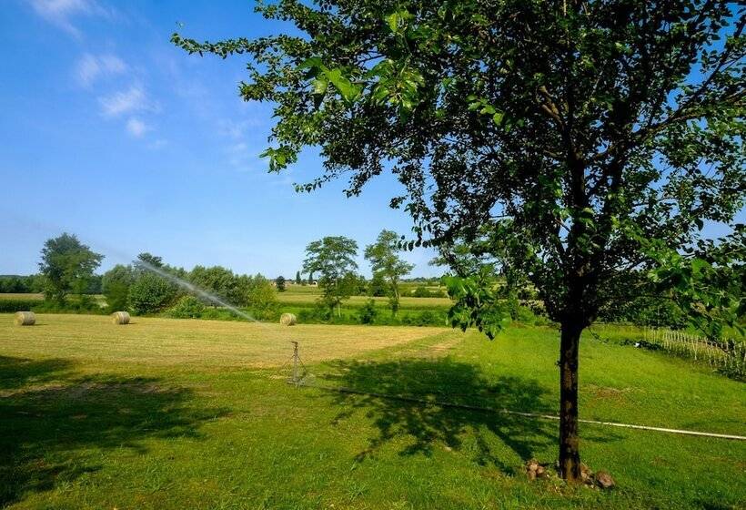 בית מלון כפרי Agriturismo Moscatello