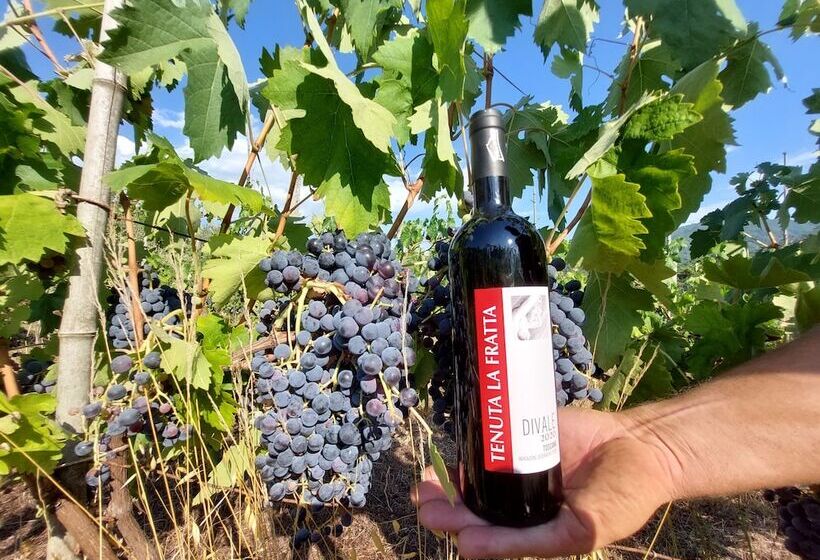 בית מלון כפרי Agriturismo Tenuta La Fratta