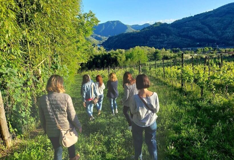 בית מלון כפרי Agriturismo Tenuta La Fratta