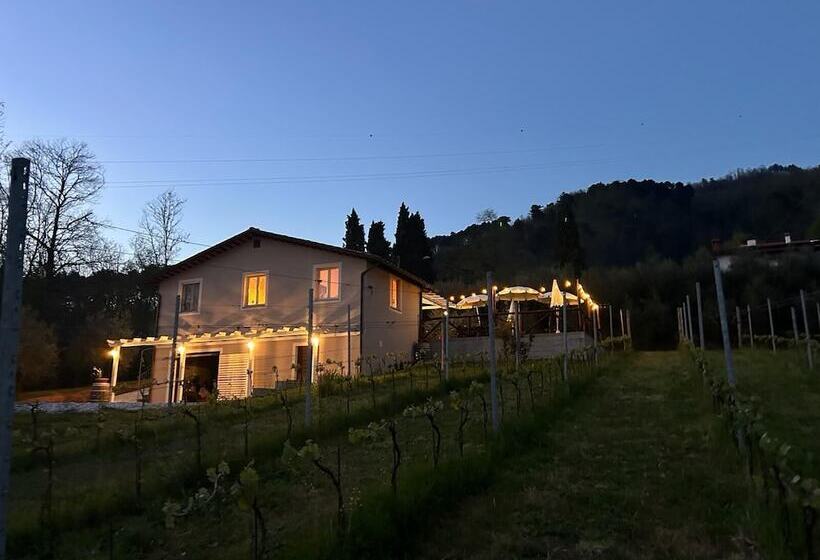 בית מלון כפרי Agriturismo Tenuta La Fratta