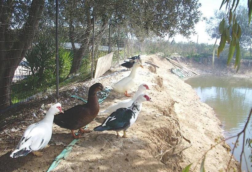 酒店 Agriturismoteo