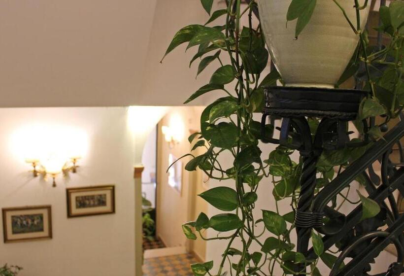 Hotel Albergo Delle Drapperie