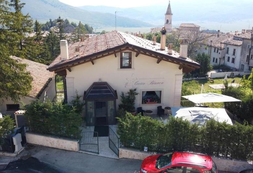 ホテル Albergo Il Gatto Bianco