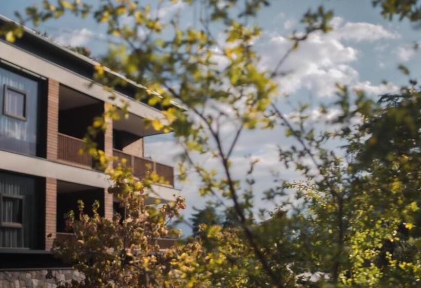 酒店 Ansitz Plantiz