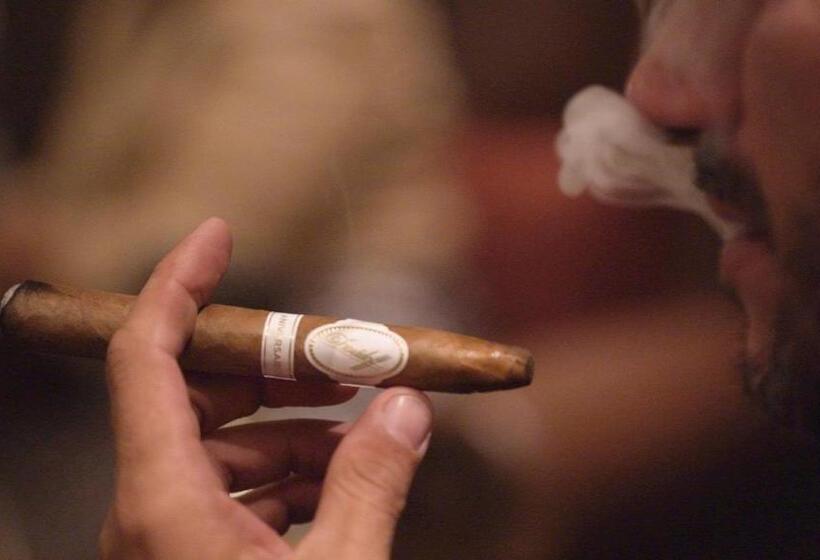 酒店 Ansitz Plantiz