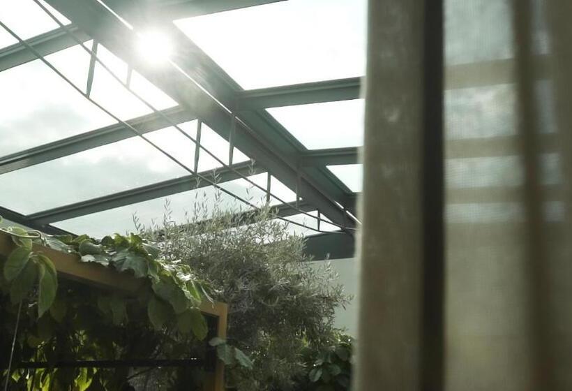 酒店 Ansitz Plantiz