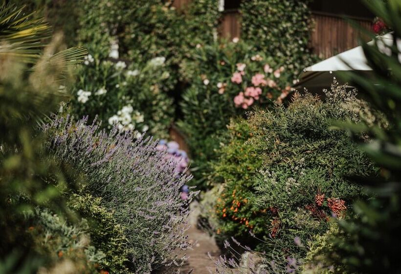 酒店 Ansitz Plantiz