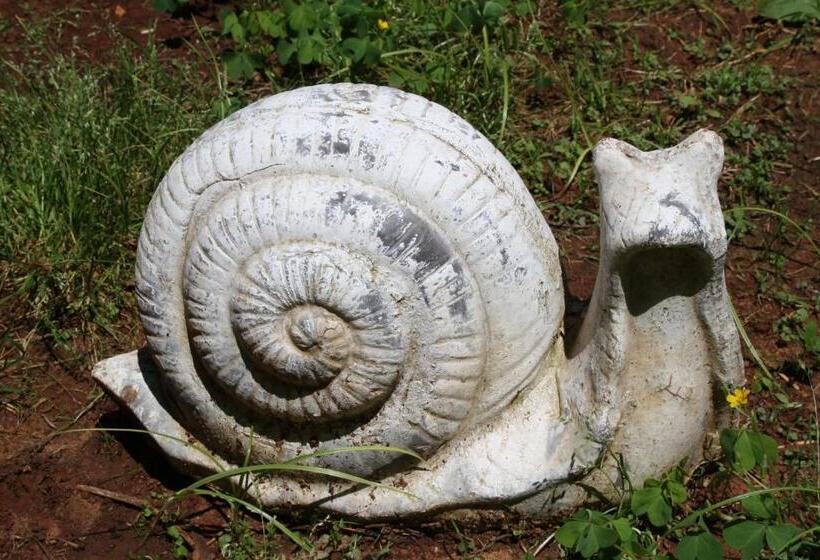 هتل Antica Villa La Viola