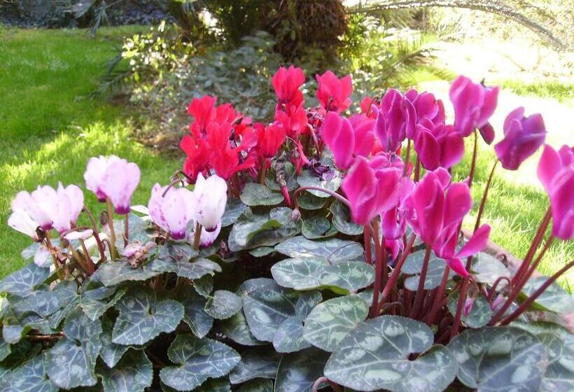 هتل Antica Villa La Viola