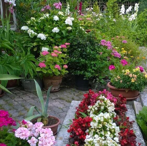 فندق Antico Albergo Sant'antonio