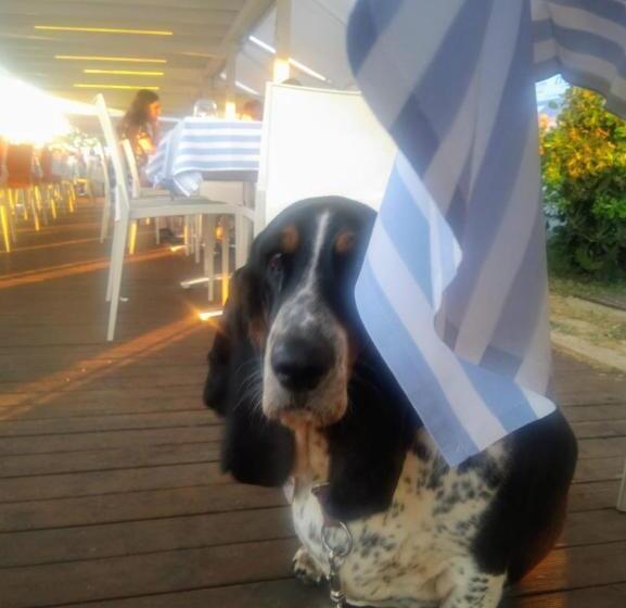 בית מלון כפרי Astoria