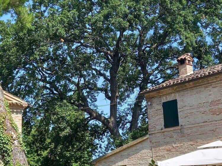 Отель B E B San Valentino