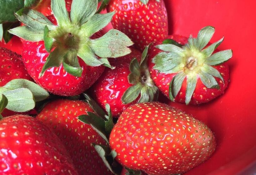 ホテル B&b Case A San Matteo