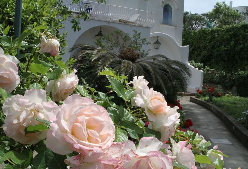 فندق B&b Il Sogno