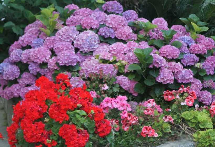 فندق B&b Il Sogno