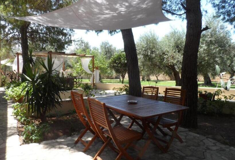 فندق B&b Santa Venardia