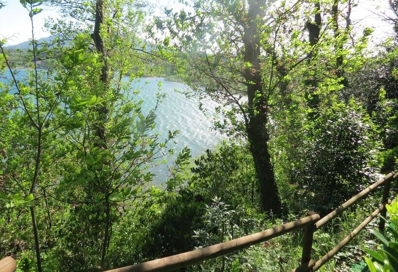 فندق B&b Tana Della Volpe