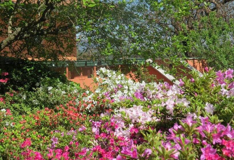 فندق B&b Tana Della Volpe