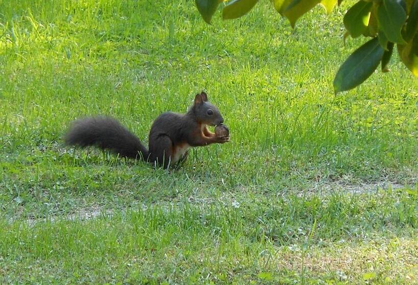 בית מלון כפרי B&b Vanessa House