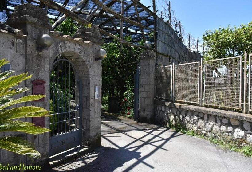 בית מלון כפרי Bed And Lemons