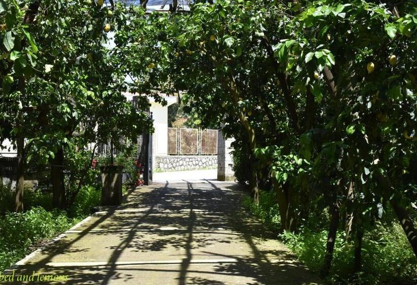 בית מלון כפרי Bed And Lemons