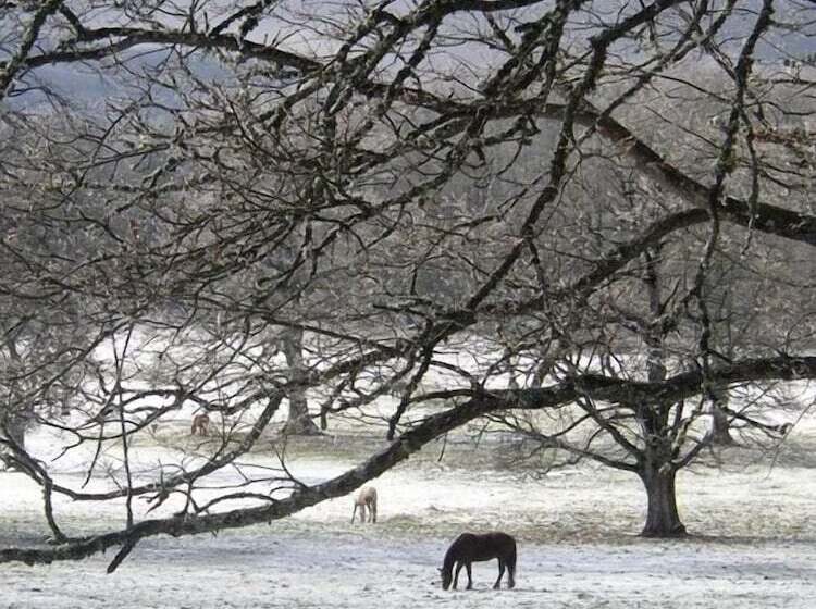 ホテル Borgo San Pietro