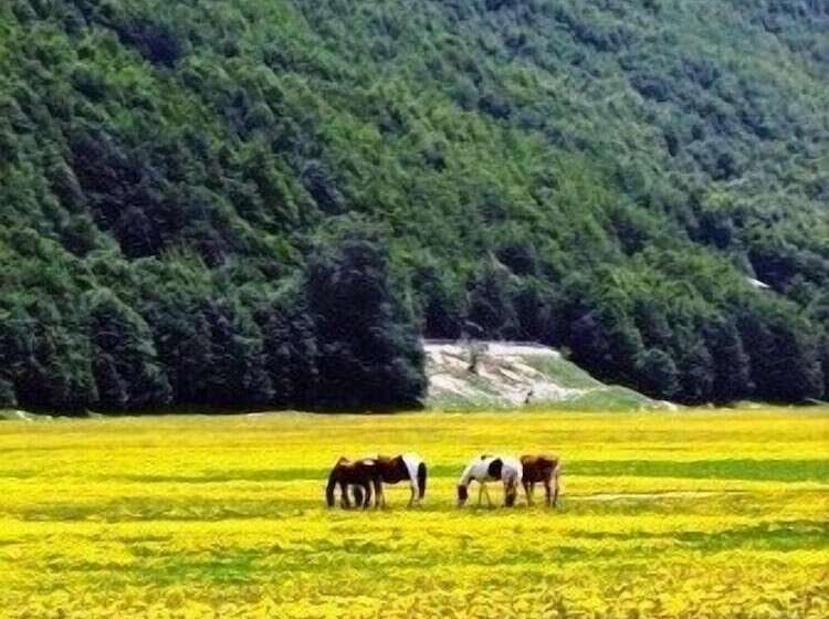 ホテル Borgo San Pietro