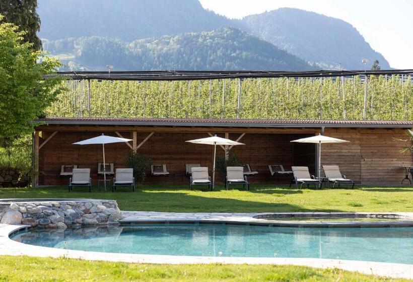 فندق Burggräflerhof