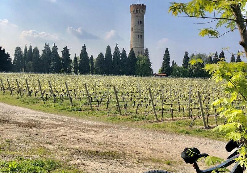 ホテル Campanello