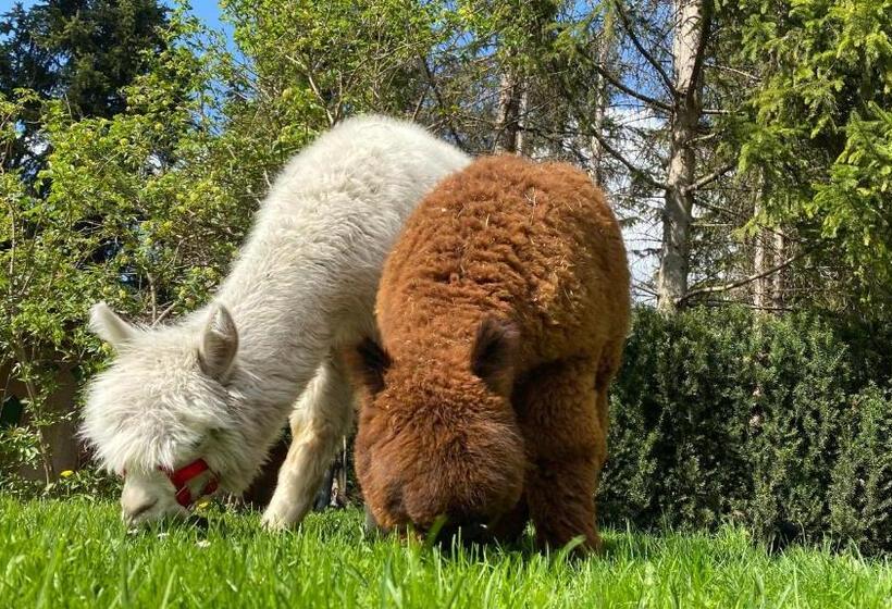 בית מלון כפרי Dolomit Boutique