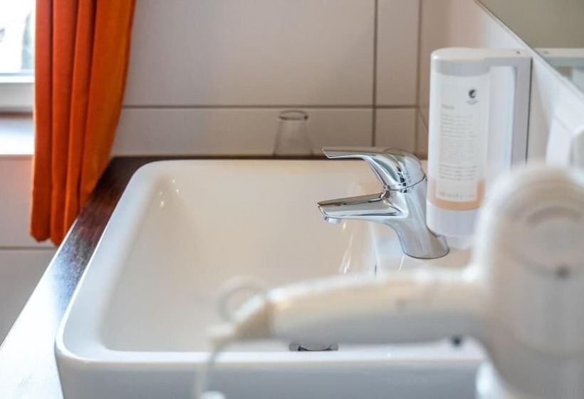 ホテル Domäne Am See