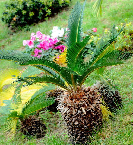 호텔 Domus Aequana