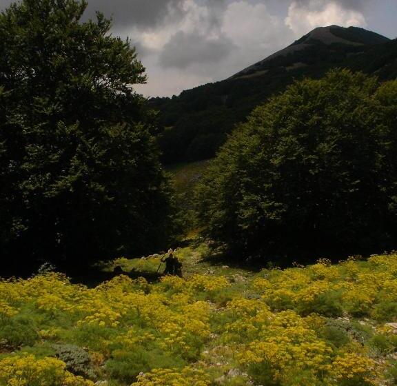 فندق Domus Lilio