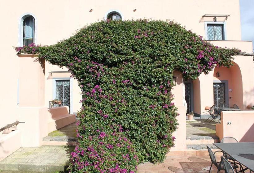 בית מלון כפרי Flegrea House