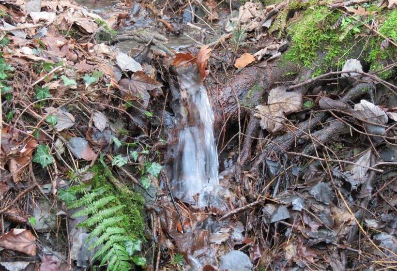 בית מלון כפרי Frauenpension Arleta   Women Only