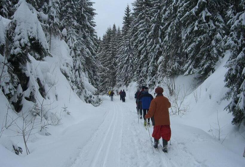 בית מלון כפרי Frauenpension Arleta   Women Only