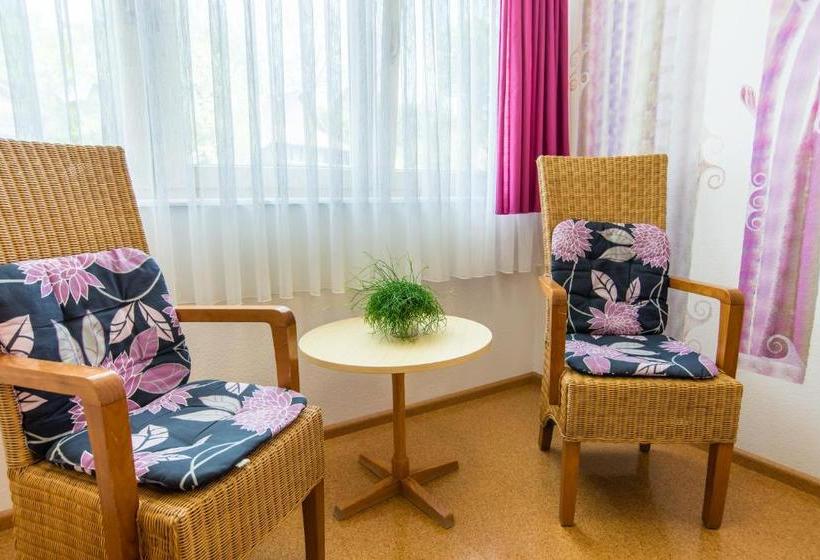 בית מלון כפרי Gasthaus Pension Löwen