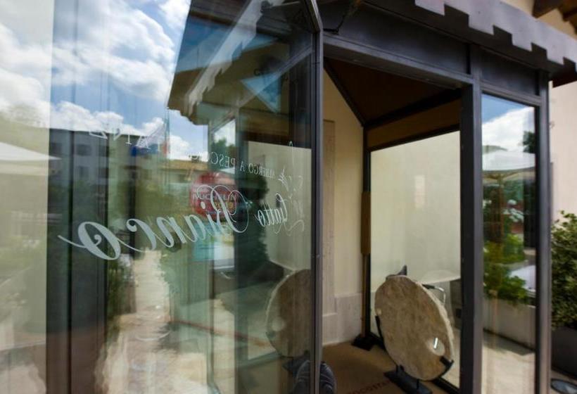 ホテル Albergo Il Gatto Bianco