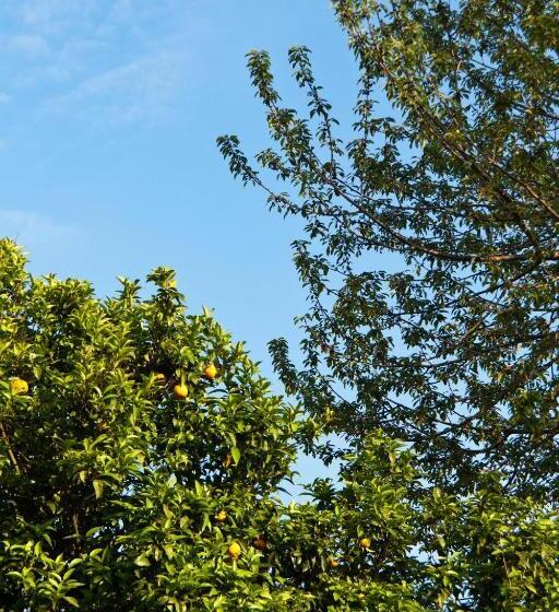 فندق La Maison De Titty & Margherita