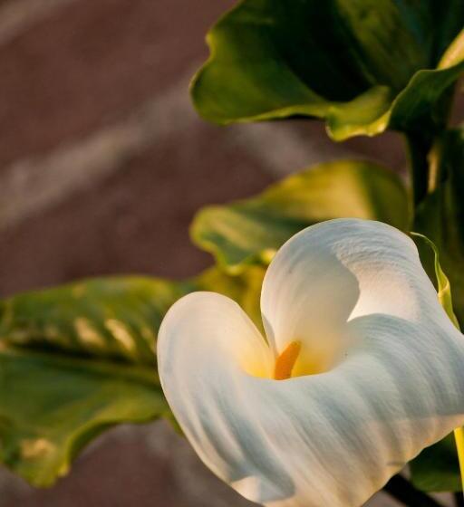 فندق La Maison De Titty & Margherita