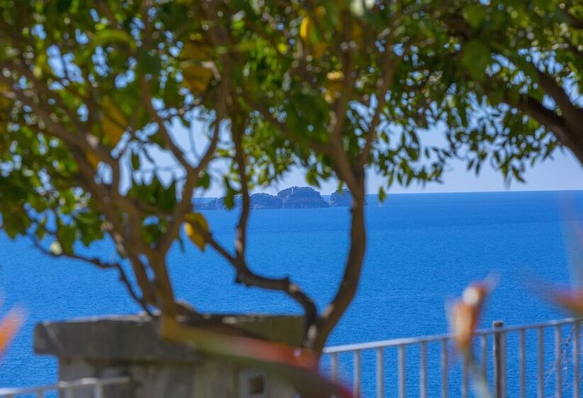 酒店 La Maliosa D  Arienzo