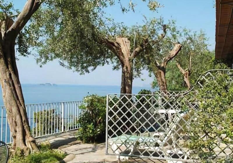 酒店 La Maliosa D  Arienzo